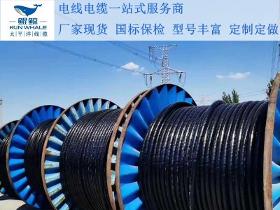 鄭州電纜廠淺談電纜著火怎么辦呢？撲救辦法在這里